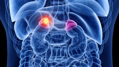 خطر على صحتك.. نظام غذائي وعادات بسيطة لعلاج الإجهاد الكظري واستعادة النشاط