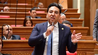 نائب: كلمة الرئيس عكست موقف مصر الثابت لدعم القضية الفلسطينية وإعمار غزة 