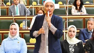 النائبة أميرة أبو شقة: إنشاء مجلس قومي للمواطن ضرورة لتخفيف معاناته