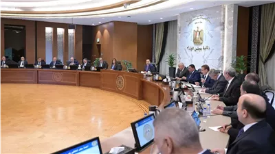رئيس الوزراء يتابع جاهزية لجنة تنظيم احتفالات افتتاح المتحف المصرى الكبير