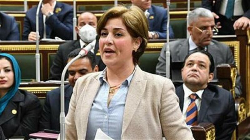 النائبة إيمان العجوز