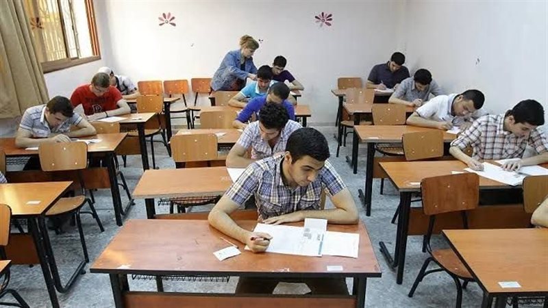 القارئ نيوز