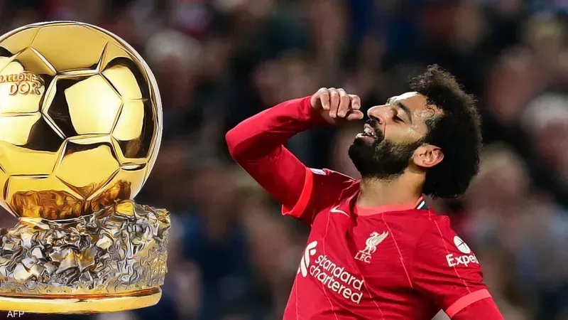 القارئ نيوز