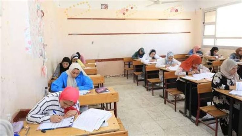 القارئ نيوز