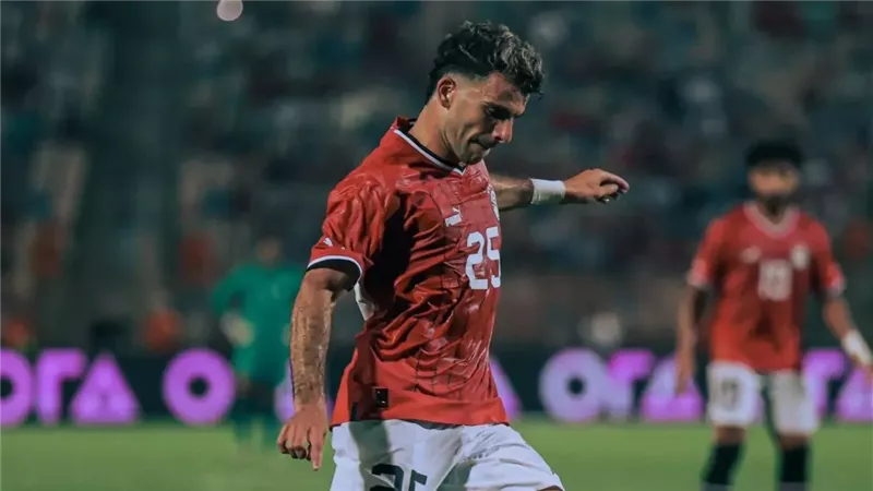 القارئ نيوز