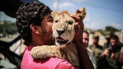 هل يجوز تربية الحيوانات المفترسة؟.. أمين الفتوى يوضح الحكم 