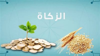 حكم استخدام أموال الزكاة في إصلاح منازل المحتاجين.. دار الإفتاء تحسم الجدل 