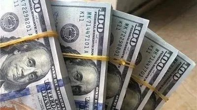 استقرار سعر الدولار في البنوك المصرية اليوم الاثنين 