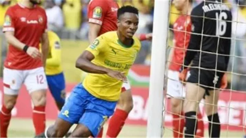 القارئ نيوز