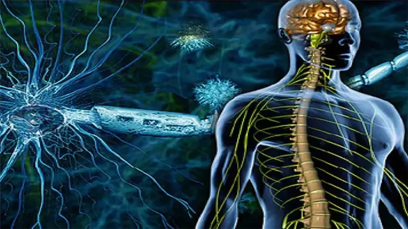 التصلب المتعدد