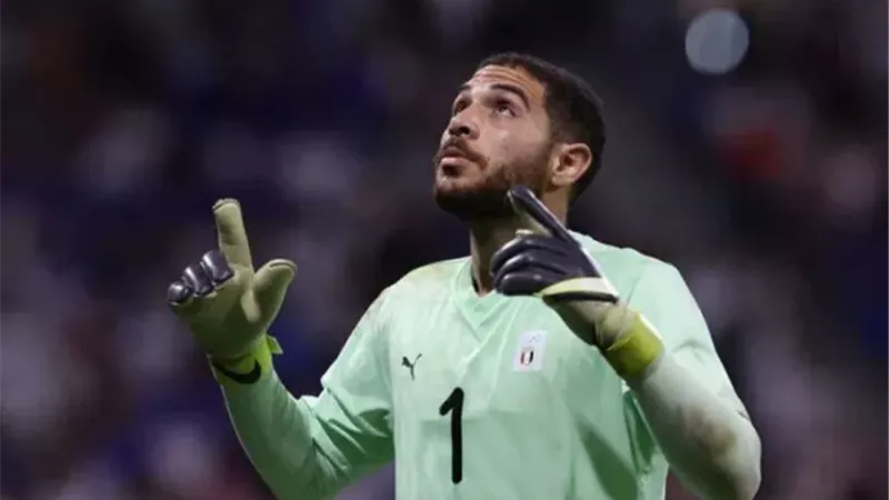 القارئ نيوز