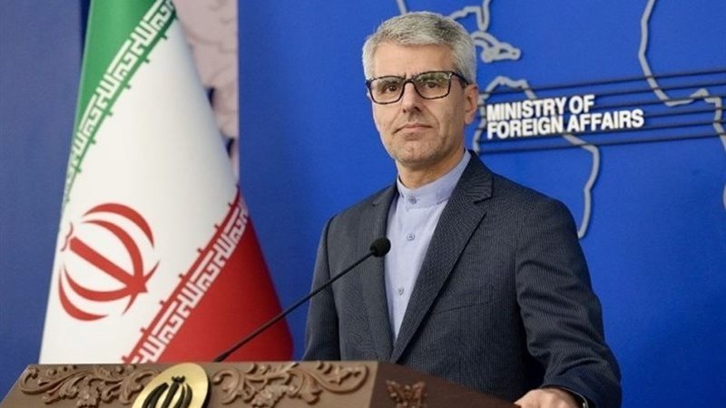 القارئ نيوز