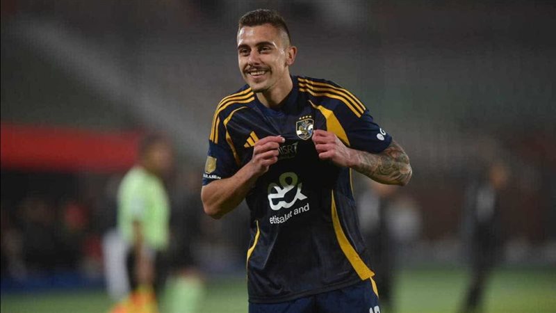 القارئ نيوز