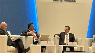 مصر تدعو لإبراز أولويات الدول العربية في التعاهد الرقمي العالمي