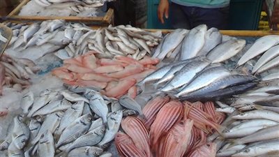 استقرار أسعار الأسماك والجمبري اليوم الاثنين في الأسواق المصرية