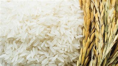  الشعير والأبيض.. أسعار الأرز اليوم الأحد 27-4-2025 بالأسواق المحلية