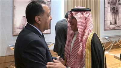 مدبولي يستقبل التويجري.. دعم مصري سعودي لتفعيل المجلس التنسيقي الأعلى