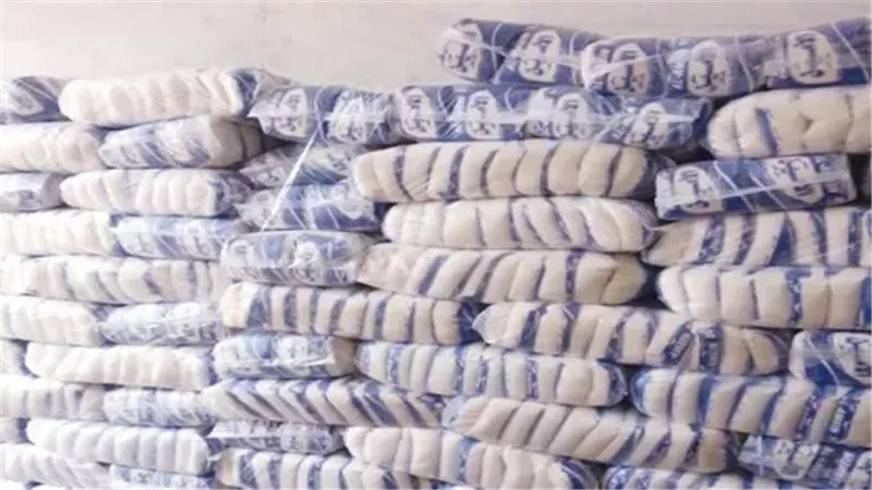 القارئ نيوز