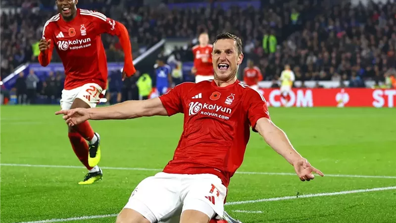 القارئ نيوز