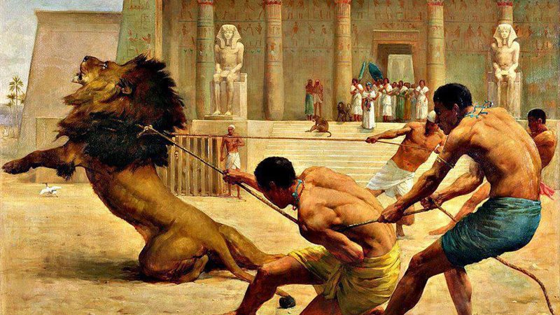 مصارعة بين البشر