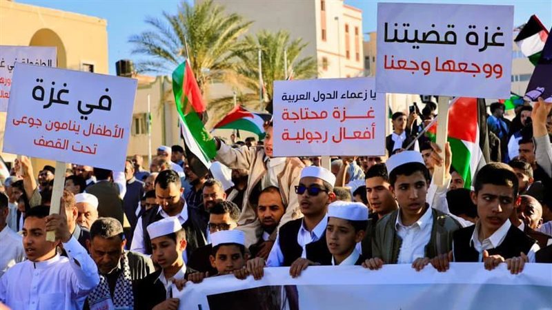 القارئ نيوز