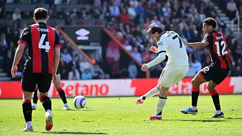 القارئ نيوز