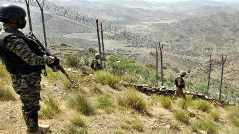 القارئ نيوز