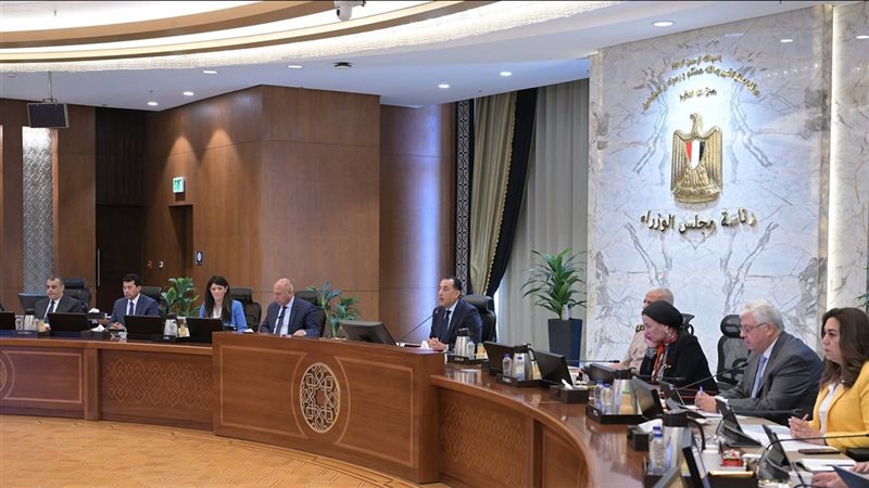 القارئ نيوز