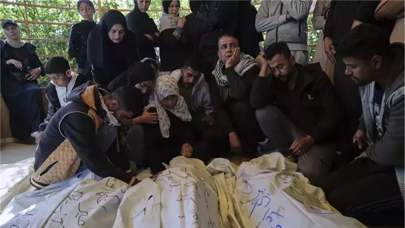 القارئ نيوز