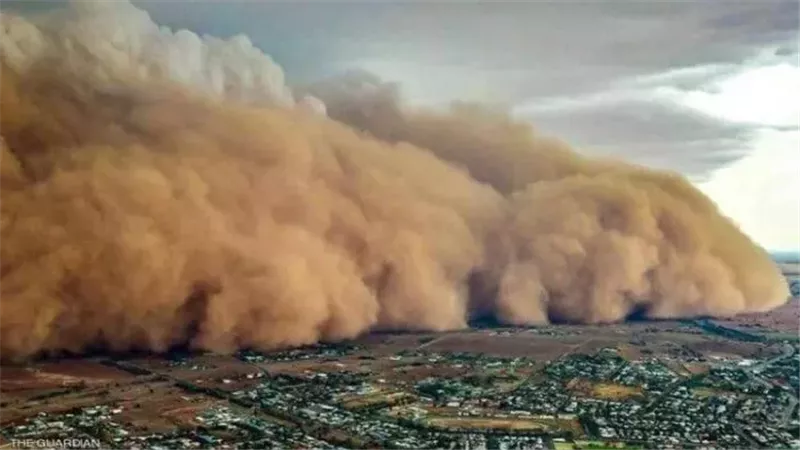 القارئ نيوز