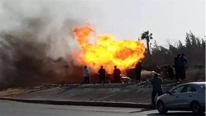 القارئ نيوز