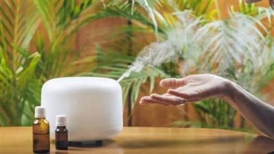 من مطبخك.. خطوات سهلة لتحضير معطر هواء طبيعي وآمن في منزلك