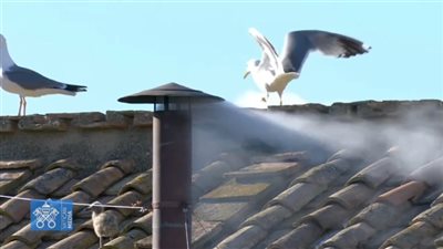 الدخان الأبيض يعلن اختيار بابا جديد للفاتيكان بعد وفاة فرنسيس