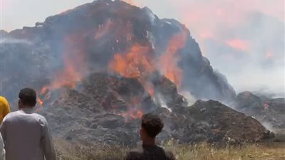 من مزرعة مواشي لشونة كتان.. كل التفاصيل عن حريق الغربية المروع