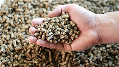 تفاوت أسعار الأعلاف في الأسواق المحلية اليوم الاثنين