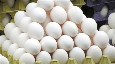  أسعار البيض اليوم الأربعاء 16 يوليو 2025.. والطبق بـ125 جنيها