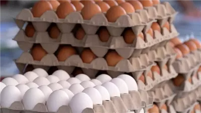 أسعار البيض اليوم الأحد 29 يونيو 2025.. البلدي بـ130 جنيها