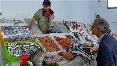 أسعار الأسماك تستقر اليوم الجمعة 2 مايو.. والبلطي بين 110 و115 جنيهًا