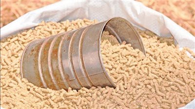 تراجع ملحوظ بأسعار الأعلاف اليوم الجمعة.. واستقرار في الخامات