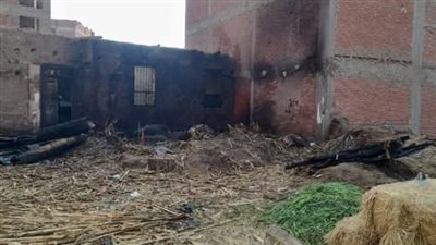 الرياح الشديدة وراء اندلاع حريق هائل داخل 3 منازل في الفيوم 