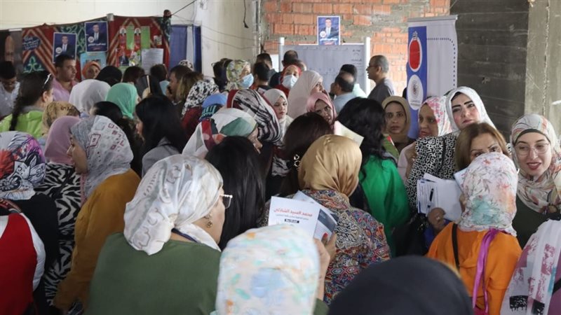 القارئ نيوز