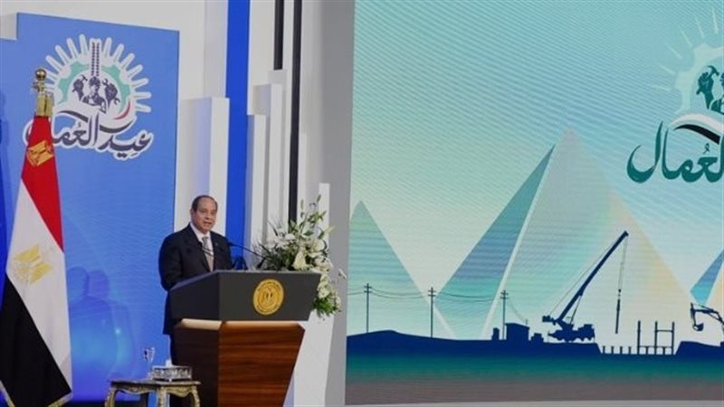 القارئ نيوز