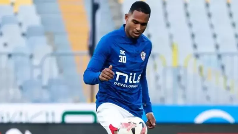 القارئ نيوز