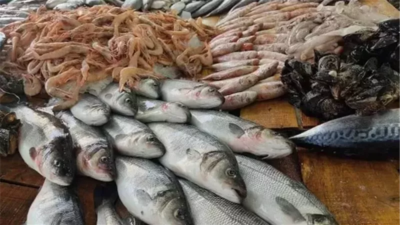 الأسماك