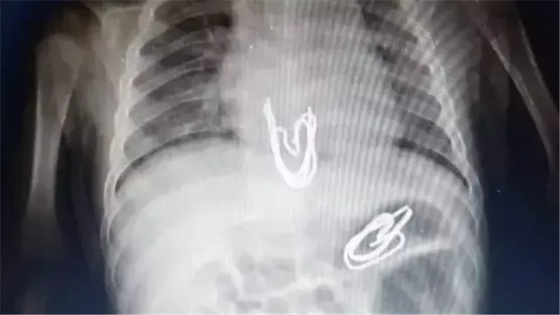 القارئ نيوز