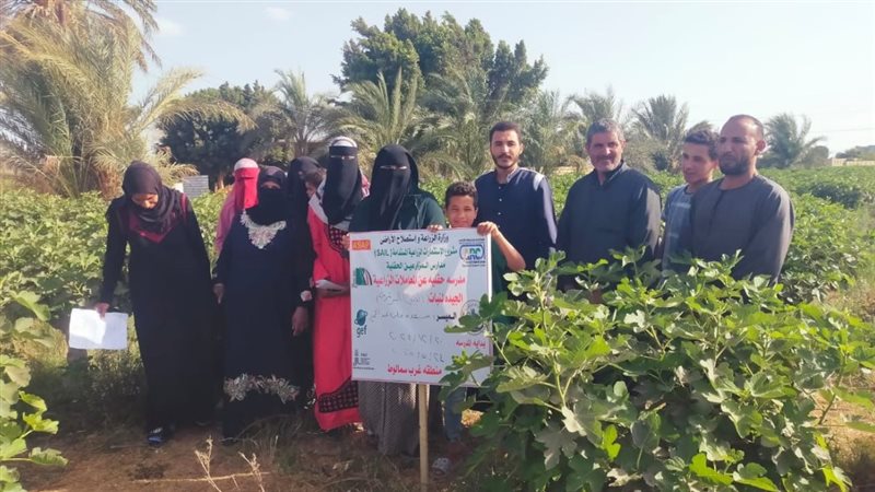 القارئ نيوز