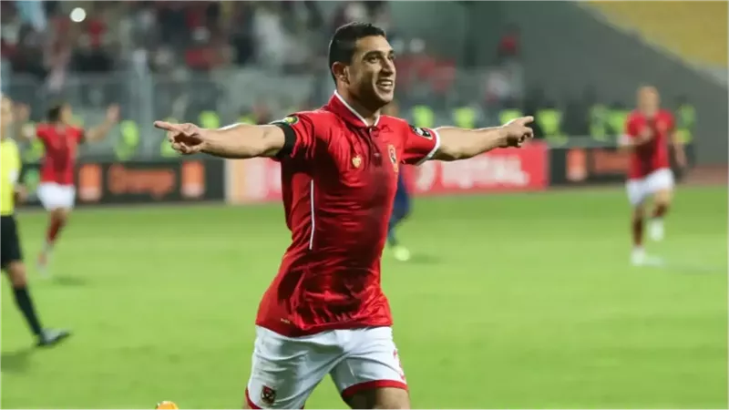 القارئ نيوز