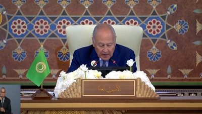 أبو الغيط.. قلق على ليبيا.. ودعم للصومال وسوريا في مواجهة التحديات