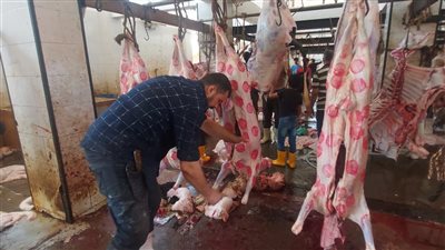 قبل عيد الأضحى.. تعرف على مواقع المجازر الحكومية لذبح الأضاحي بالإسكندرية