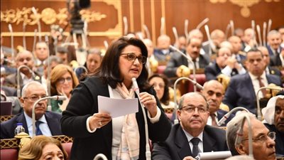 الأنطوني عن تعديل قانون «الشيوخ».. وضع نظام برلماني يضاهي أحدث النظم البرلمانية